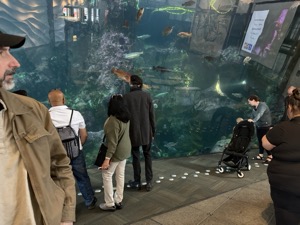 Day 3 ~ Aquarium ~ Seattle