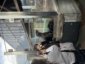 Day 3 ~ Aquarium ~ Seattle