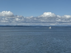 Day 3 ~ Aquarium ~ Seattle