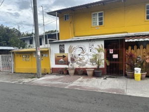 Day 5 ~ Exploring ~ Boquete, Chiriquí