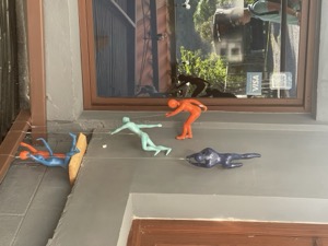 Day 6 ~ Exploring ~ Boquete, Chiriquí