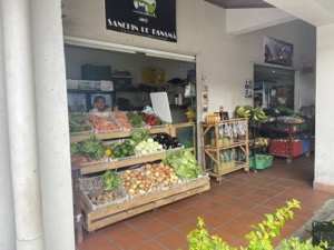 Day 6 ~ Exploring ~ Boquete, Chiriquí