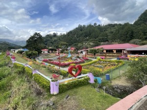 Day 6 ~ Exploring ~ Boquete, Chiriquí