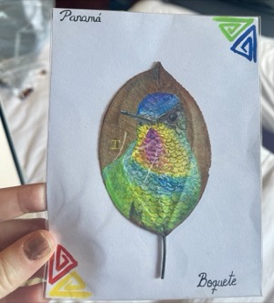 Day 6 ~ Exploring ~ Boquete, Chiriquí