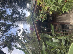 Day 6 ~ Exploring ~ Boquete, Chiriquí