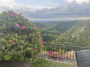 Day 6 ~ Las Molinas ~ Boquete, Chiriquí