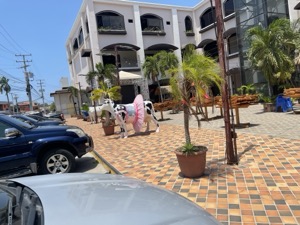 Day 3 ~ Salsa & Carbon ~ Chitré, Panamá