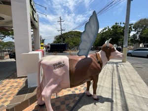 Day 3 ~ Salsa & Carbon ~ Chitré, Panamá