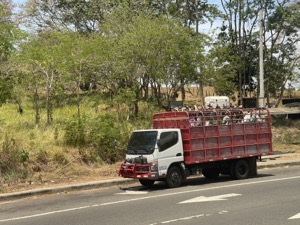 Day 4 ~ Exploring ~ Panamá