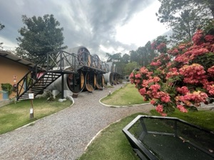 Day 4 ~ Selina ~ Boquete, Chiriquí