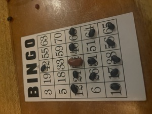 Day 4 ~ Selina ~ Boquete, Chiriquí