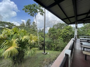 Day 5 ~ Exploring ~ Volcan, Chiriquí