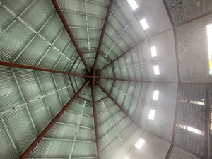 Day 5 ~ Exploring ~ Volcan, Chiriquí