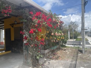 Day 5 ~ Restaurant ~ Volcan, Chiriquí