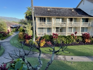 Set 1 ~ AirB&B ~ Kauaʻi, Hawaiʻi