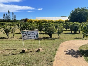 Set 1 ~ Kauaʻi Coffee ~ Kauaʻi, Hawaiʻi