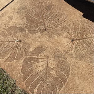 Set 1 ~ Kauaʻi Coffee ~ Kauaʻi, Hawaiʻi