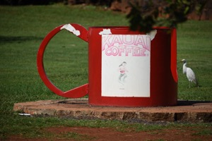 Set 1 ~ Kauaʻi Coffee ~ Kauaʻi, Hawaiʻi