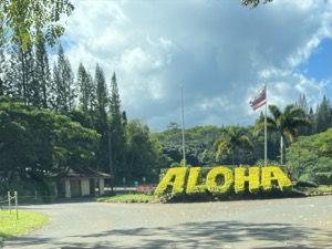 Set 3 ~ Fun Discovery ~ Kauaʻi, Hawaiʻi
