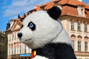 Panda in Pragueland ~ Prague, Czech Republic