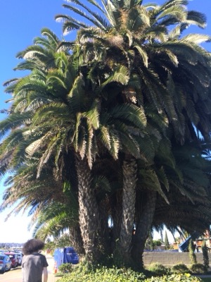 San Diego ~ California