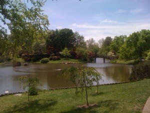 Oriental Pond ~ Missouri Botanical Gardens